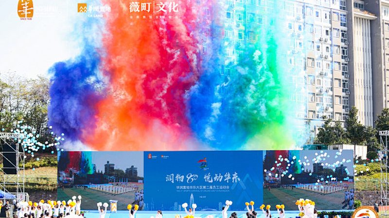 定制VI模板与现成模板的优劣解析